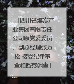 四川省煤炭产业集团有限责任公司原党委委员、副总经理张万松 接受纪律审查和监察调查